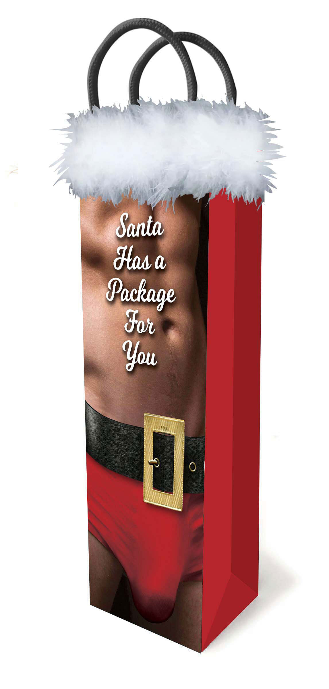 Santa Has a Big Package for You