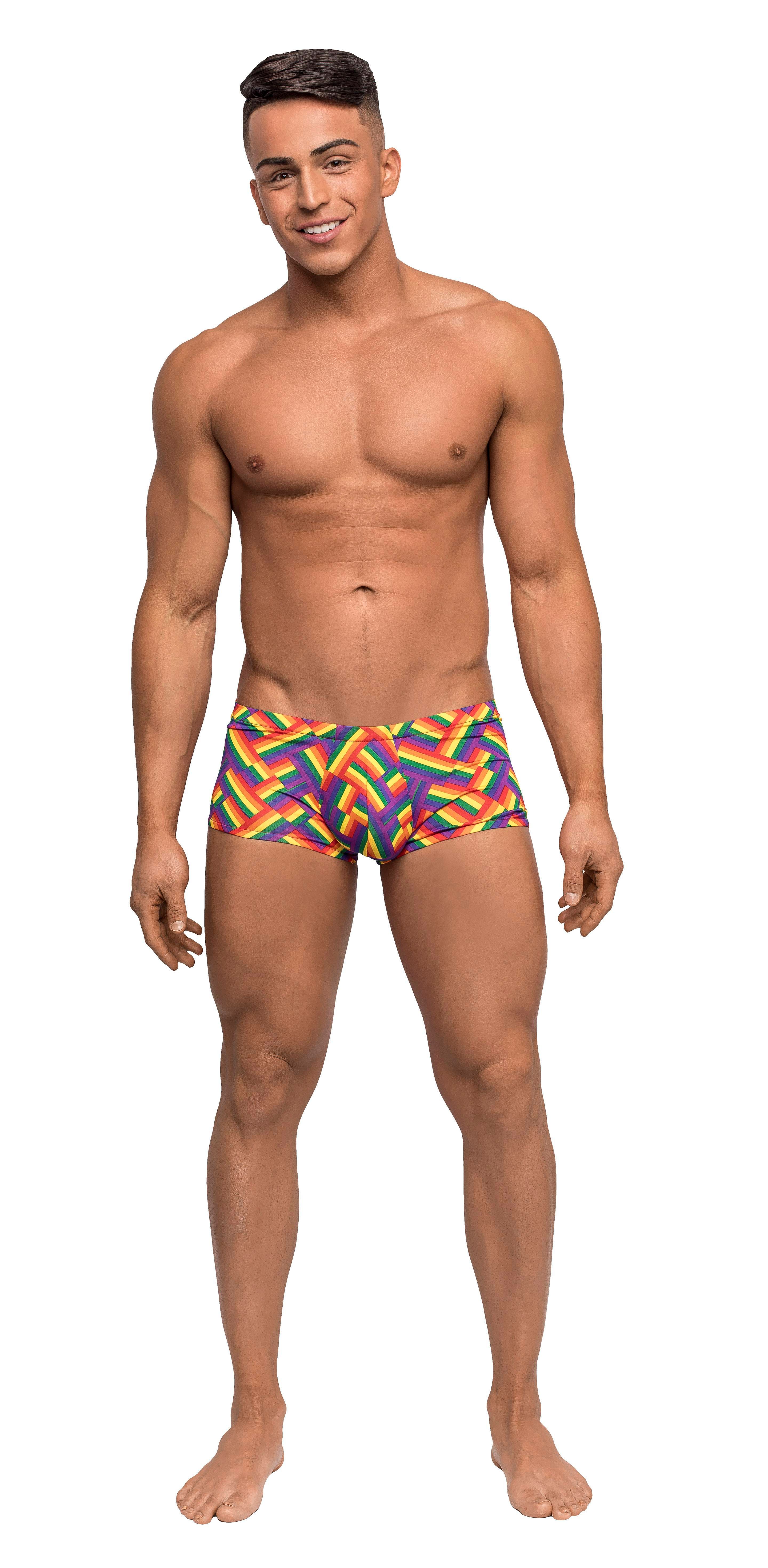 Pride Fest – Mini Short – Large – Print