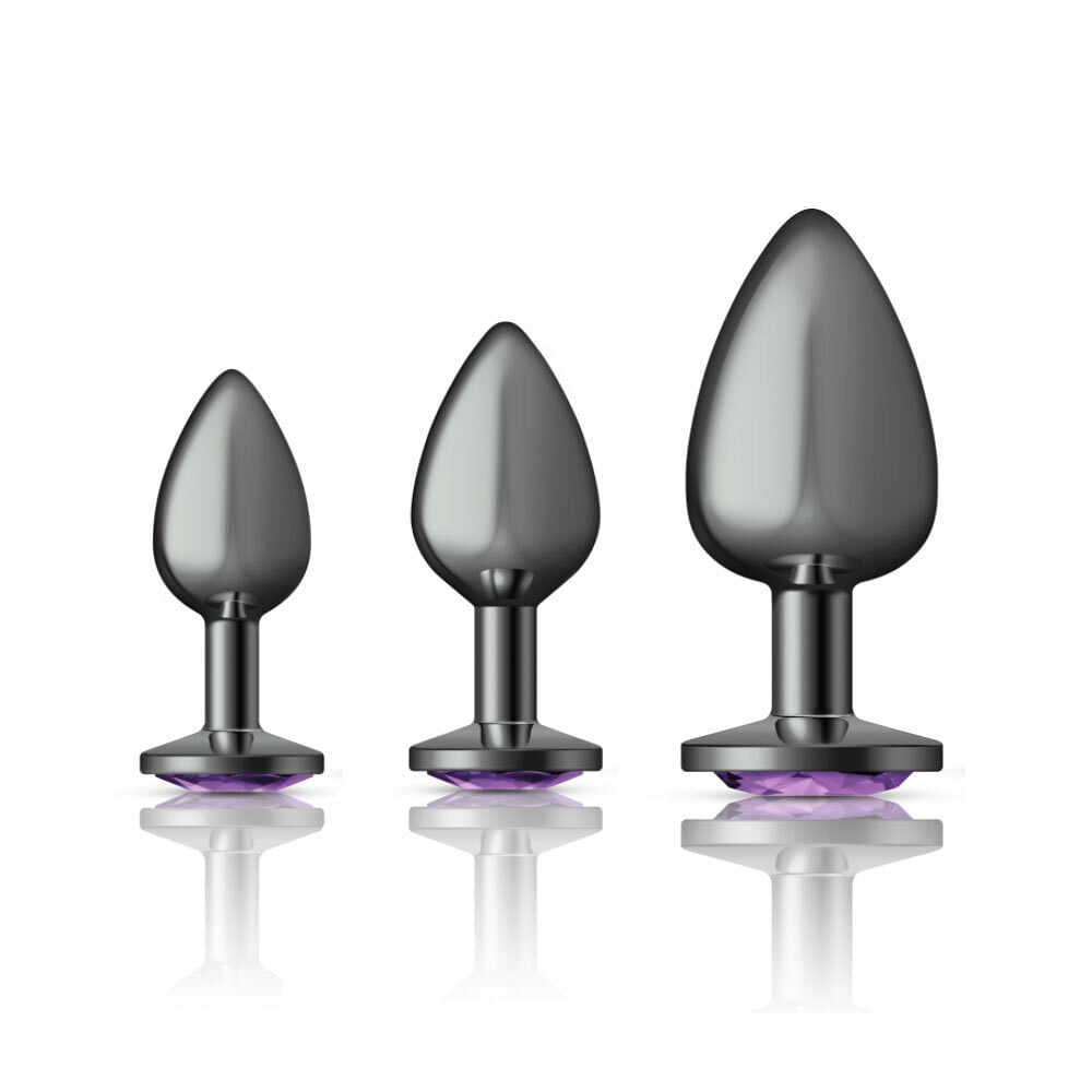 Cheeky Charms – Metal Butt Plug Gunmetal – Round – Deep Purple – Anal Trainer Kit